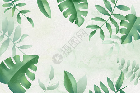 清爽绿色叶子热带植物背景插画