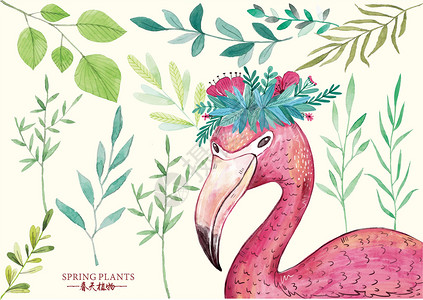 清新彩绘树叶火烈鸟和植物插画
