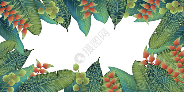 植物背景装饰图片