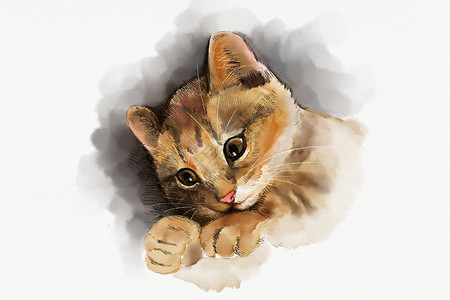 彩笔画素材猫咪手绘插画插画