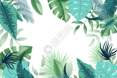 绿色植物椰树叶热带植物背景插画