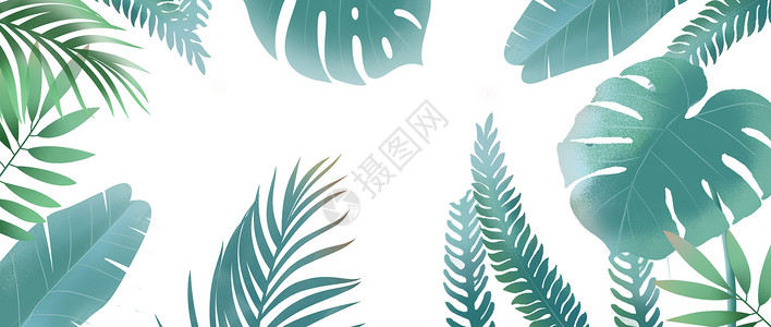 活动主页树叶绿色植物背景素材插画