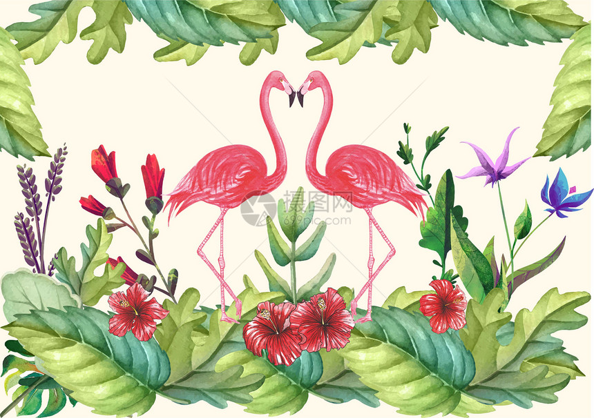 植物系插画图片
