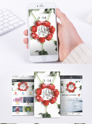 白色玫瑰背景情人节玫瑰手机海报配图模板