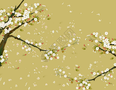 樱花花卉背景高清图片