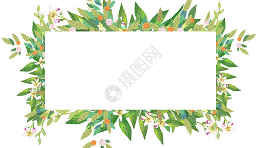 植物装饰框夏天植物背景插画