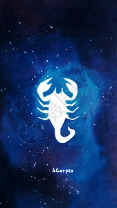 天蝎座十二星座系列插画背景图片