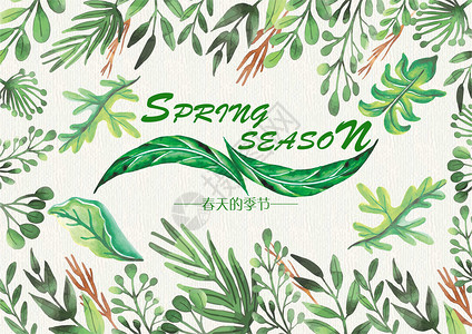 绿色背景名片春天的季节插画