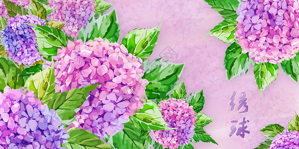 紫红苋菜绣球花插画