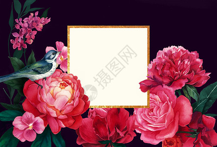 花卉贺卡背景背景图片