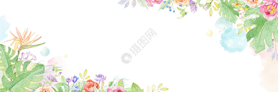 横幅banner花卉手绘插画banner背景插画