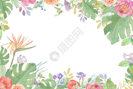 小清新花卉插画背景图片
