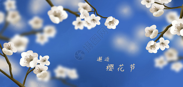 樱花季背景图片