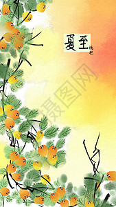 枇杷树二十四节气夏至插画