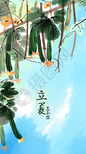 丝瓜蔬菜二十四节气立夏插画