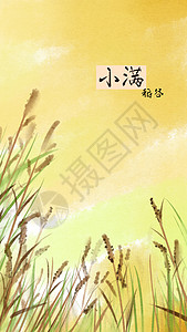 黄色稻谷名片二十四节气小满插画