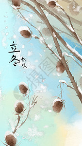 干花和松果组合二十四节气立冬插画