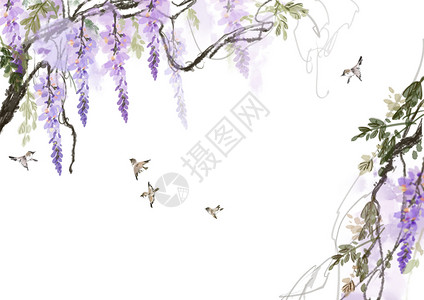 紫藤花背景水墨麻雀高清图片