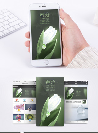 单个白色花朵春分春天绿色手机海报配图模板