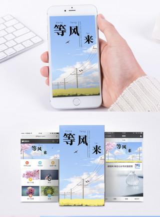 等待春天等风来手机海报配图模板