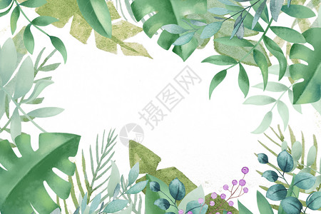 植物绿色边框水彩花卉背景插画