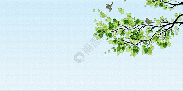 小鸟树叶背景背景图片