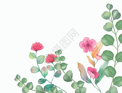 植物虹之玉手绘水彩背景插画