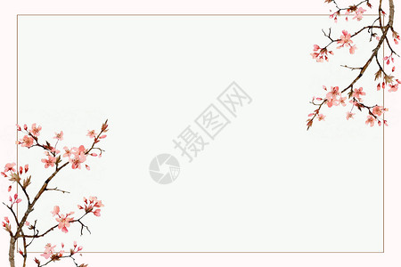 梅花花枝小清新樱花背景设计图片