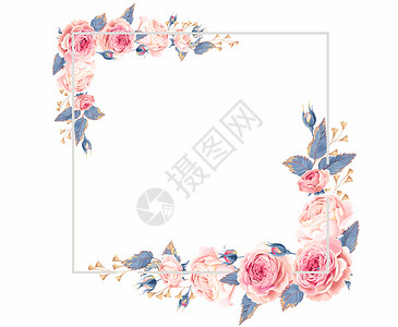 水彩花卉素材元素水彩花卉装饰框背景插画