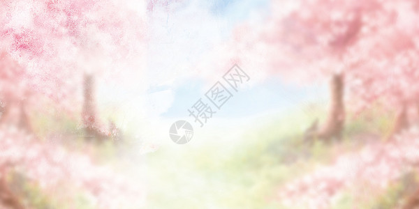 郁金香春季赏花摄影图海报清新樱花背景设计图片
