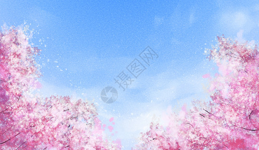 仰视花朵蓝天下的樱花林插画