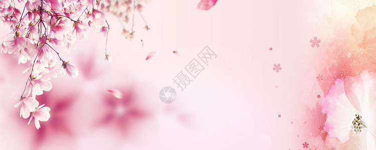 粉色花卉化妆品浪漫海报背景背景图片