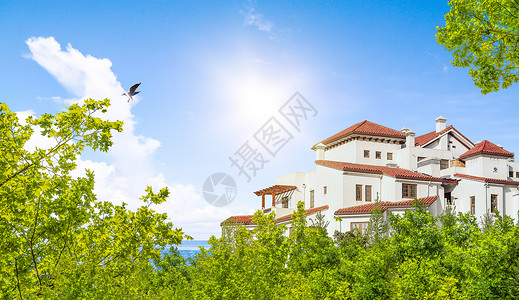 飞翔的海鸥群海滩别墅景色设计图片