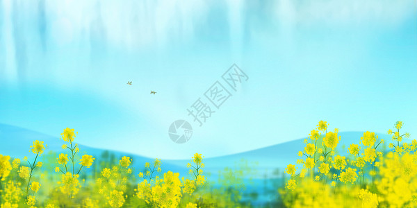 春暖花开飞翔黄色小鸟高清图片