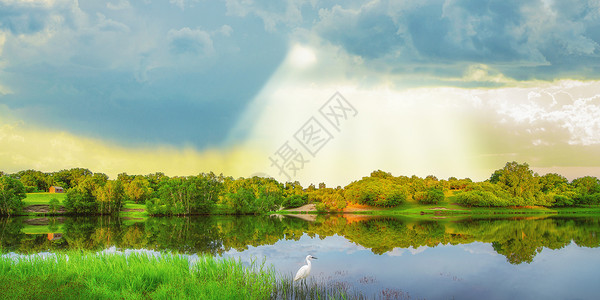 印度池塘苍鹭唯美风景设计图片