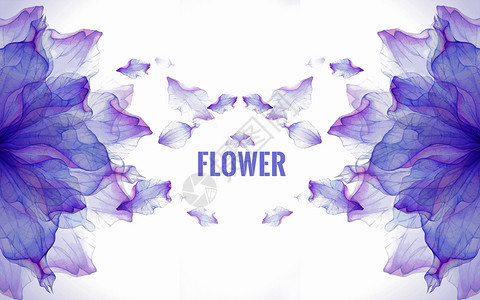 蓝色玫瑰花花卉蓝紫色花纹背景设计图片