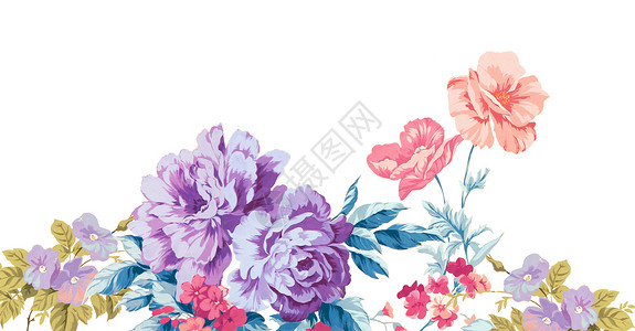 牡丹元素花卉背景插画