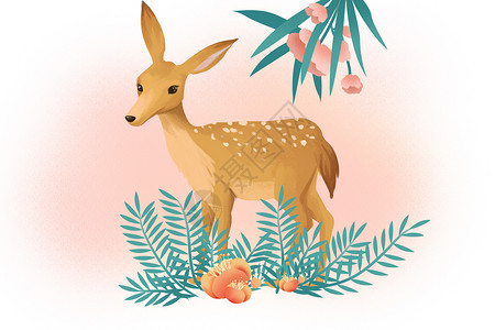 小鹿花草组合花丛里的小鹿插画