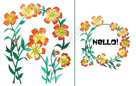 水彩花卉框架手绘水彩花朵插画