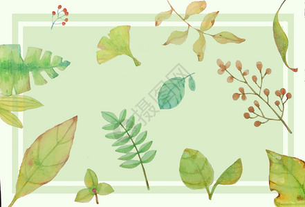 植物叶子元素图片