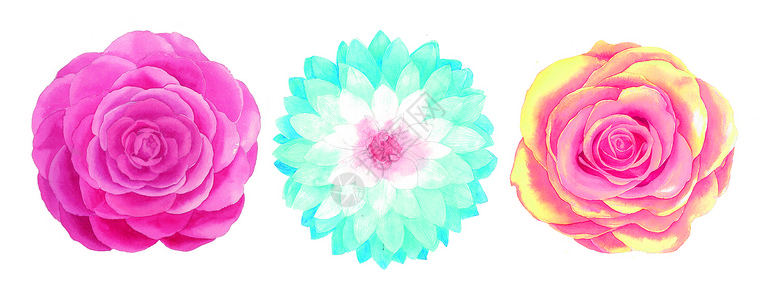 高清免抠素材水彩手绘花卉插画