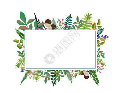 手绘绿叶装饰框图片