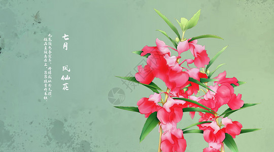 七月二十三中国风花卉插画