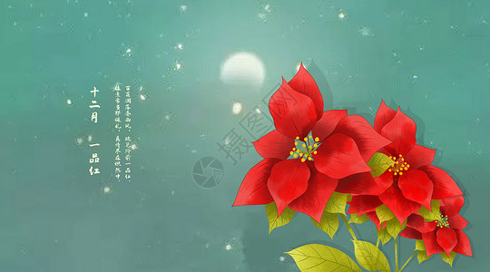 十二月节气中国风花卉插画