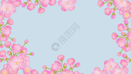 暖春banner水彩桃花插画