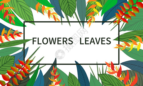清新植物花框花卉绿叶手绘背景插画