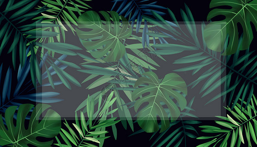 热带植物边框小清新花卉背景插画