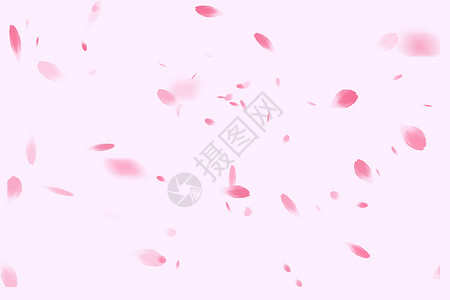 凌乱的粉色樱花花瓣背景插画