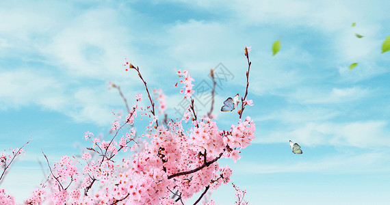 粉色小山丘春天花朵背景设计图片