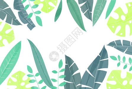 植物叶子背景素材背景图片